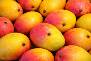 आम का पेड़ कैसे लगाएं