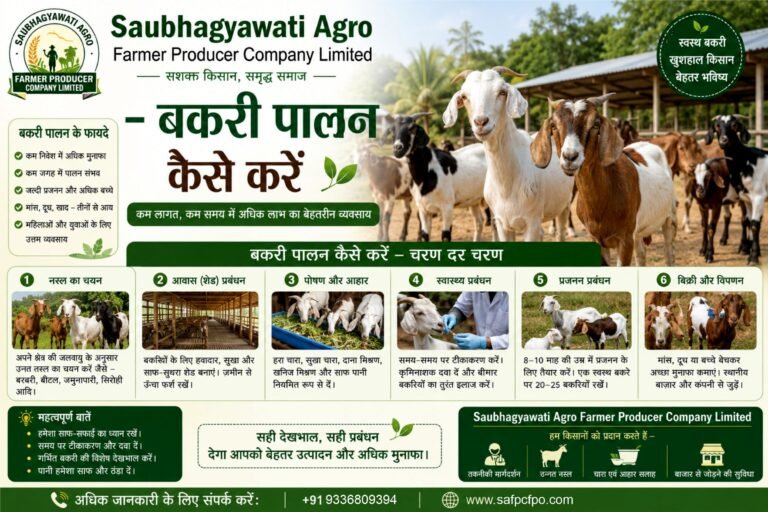 बकरी पालन कैसे करें