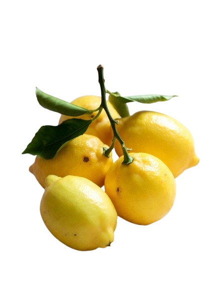 नींबू का पौधा कैसे लगाएं