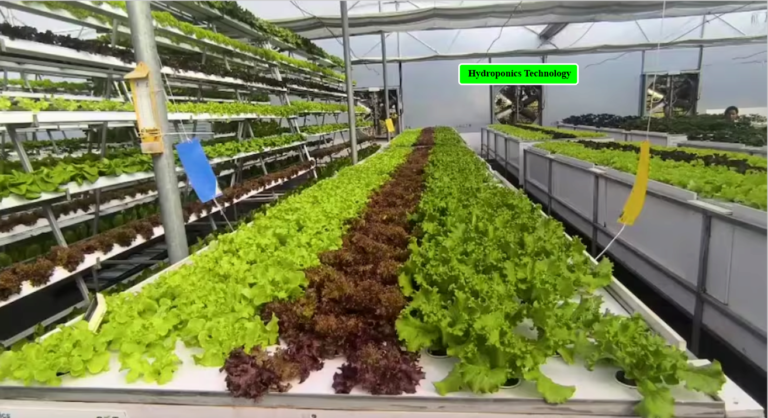 कम पानी में होने वाली खेती